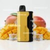 Alibarbar Ice Adjust Mango import placeholder for 3304