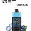 IGET ONE – BLUEBERRY ICE – 12000 PUFFS import placeholder for 18903