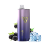 LV BAR 9000 & BLACKBERRY ICE import placeholder for 762
