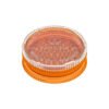 import placeholder for 10264968692039