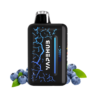 VAPEHUB 20000 CLASSIC & BLUEBERRY BLAST STORM import placeholder for 2078