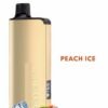 ALIBARBAR INGOT – PEACH ICE – 9000 PUFFS import placeholder for 14256