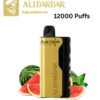 ALIBARBAR ICE ADJUST – WATERMELON – 12000 PUFFS import placeholder for 19728