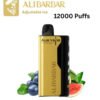 ALIBARBAR ICE ADJUST – BLUEBERRY WATERMELON – 12000 PUFFS import placeholder for 19736