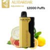 ALIBARBAR ICE ADJUST – GRAPEFRUIT GUAVA LEMON – 12000 PUFFS import placeholder for 19740