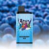 IGET Bar Pro 10000 Puffs Blueberry Ice import placeholder for 1487