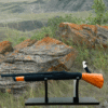 Shotgun Bong 27" import placeholder for 7748735860799